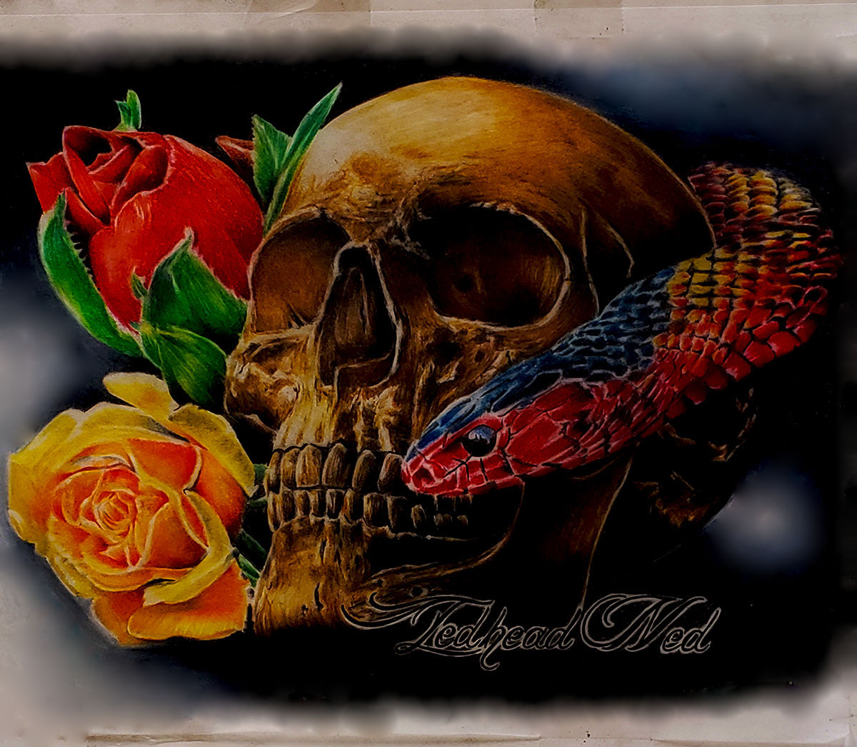A. Skull Wrapped with Snake and Roses canvas print 14 x 10
